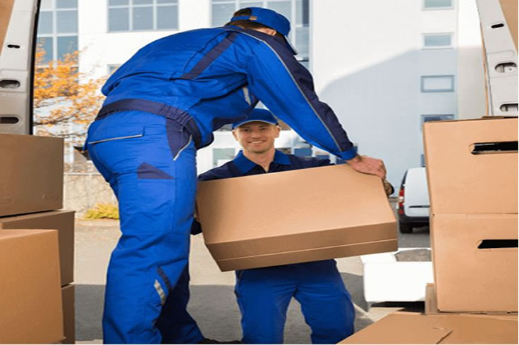 boxforyou_transporte_empresa